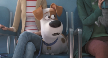 Pets2_2 Pets2_2